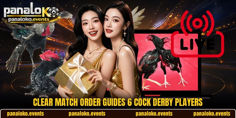 Clear match order guides 6 Cock Derby players