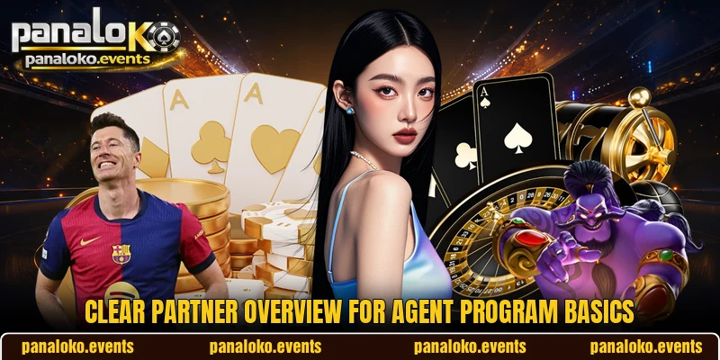 Clear partner overview for agent program basics
