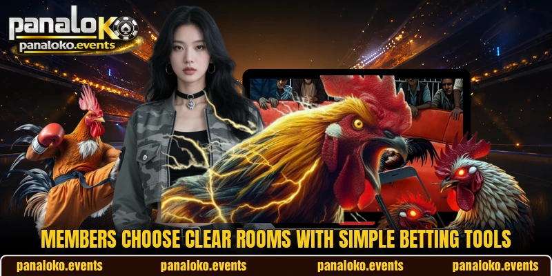 Members choose clear rooms with simple betting tools