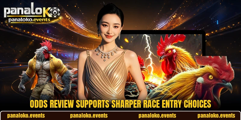 Odds review supports sharper race entry choices