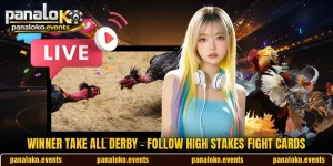 Winner Take All Derby - Follow High Stakes Fight Cards